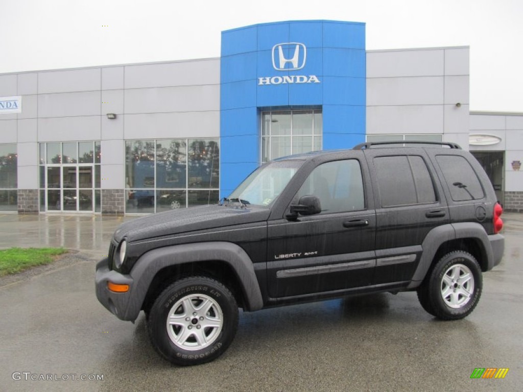 2002 Liberty Sport 4x4 - Black / Dark Slate Gray photo #1