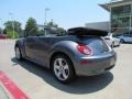 Platinum Grey - New Beetle 2.5 Convertible Photo No. 3