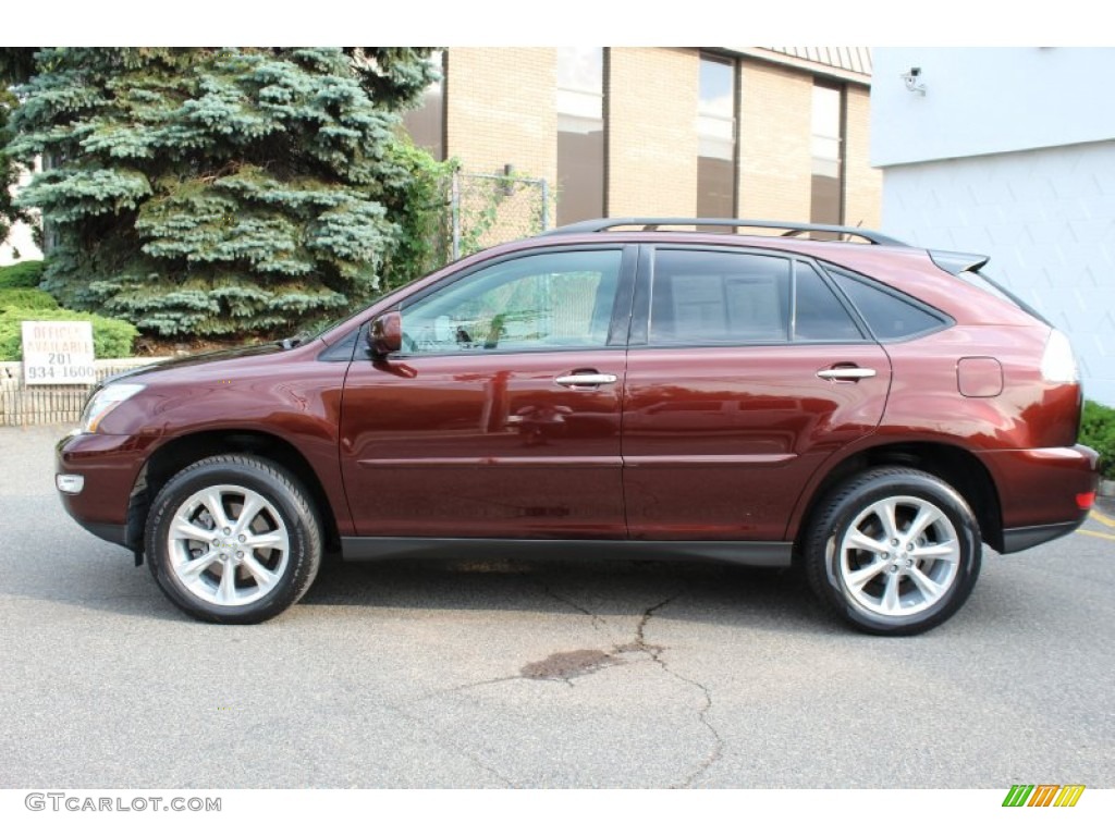 Brandywine Mica 2009 Lexus RX 350 AWD Exterior Photo #51487942