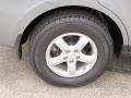 Platinum Sage - Santa Fe GLS 4WD Photo No. 3