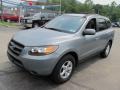 Platinum Sage - Santa Fe GLS 4WD Photo No. 7