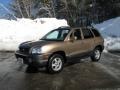 2004 Sandstone Hyundai Santa Fe LX 4WD  photo #8