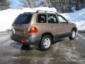 2004 Sandstone Hyundai Santa Fe LX 4WD  photo #11