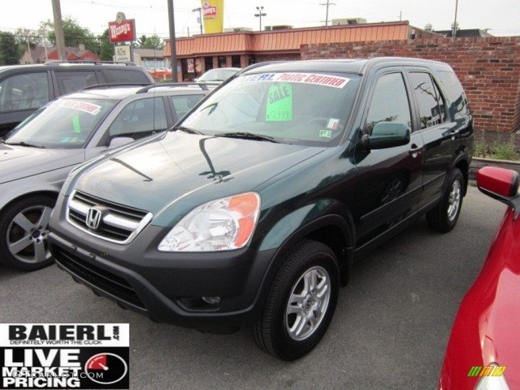 2003 CR-V EX 4WD - Clover Green Pearl / Saddle photo #3