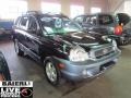 Black Obsidian - Santa Fe GLS 4WD Photo No. 1
