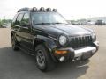 2003 Black Clearcoat Jeep Liberty Renegade 4x4  photo #15