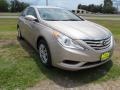 Camel Pearl - Sonata GLS Photo No. 1