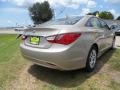 Camel Pearl - Sonata GLS Photo No. 3