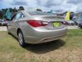 Camel Pearl - Sonata GLS Photo No. 5
