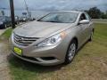Camel Pearl - Sonata GLS Photo No. 7