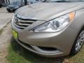 Camel Pearl - Sonata GLS Photo No. 10
