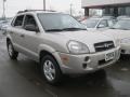 2006 Sahara Silver Hyundai Tucson GL  photo #11