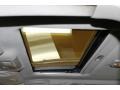 Sterling Mist Metallic - Maxima SE Photo No. 12