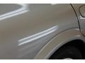 Sterling Mist Metallic - Maxima SE Photo No. 28
