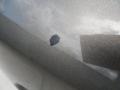 Black Clearcoat - Mountaineer V8 Premier AWD Photo No. 10