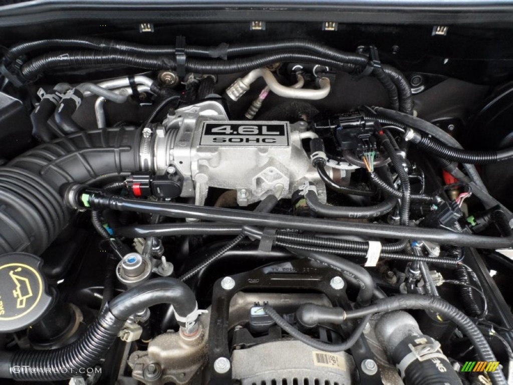 2004 Mercury Mountaineer V8 Premier AWD 4.6 Liter SOHC 16 Valve V8 Engine Photo #51510487