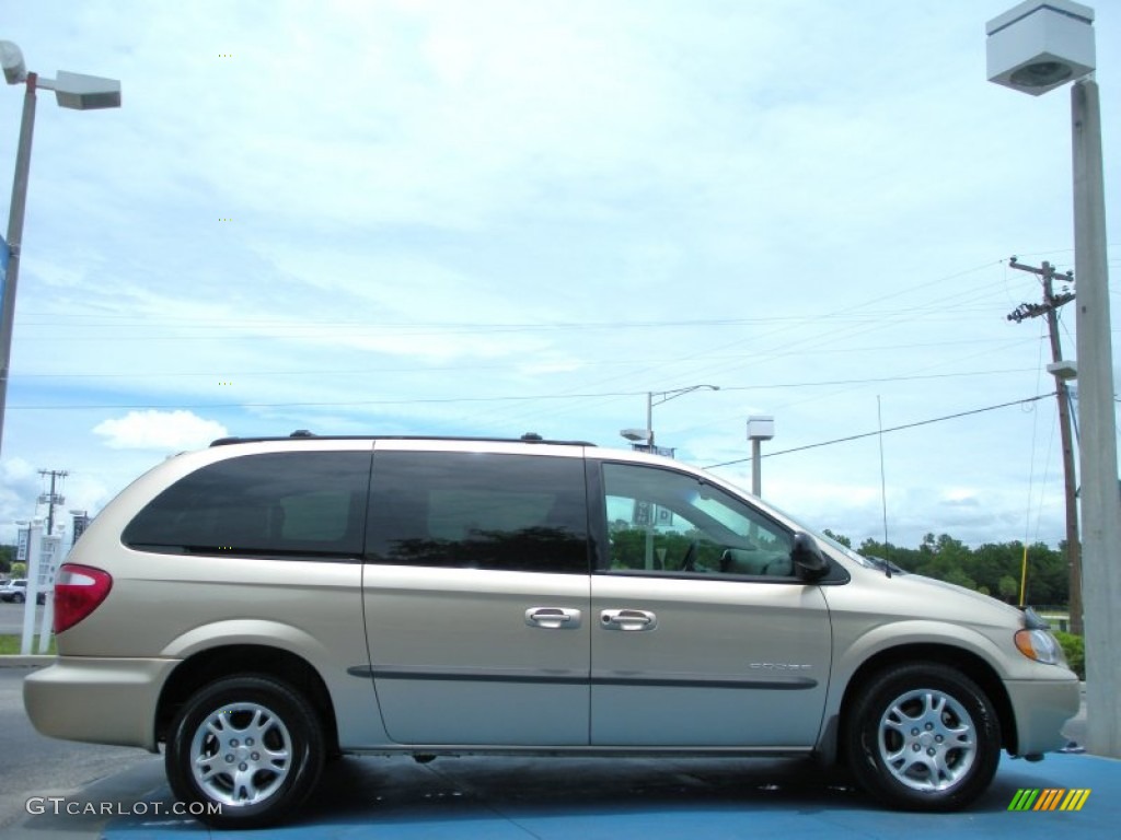 2001 Grand Caravan EX - Champagne Pearl / Sandstone photo #6