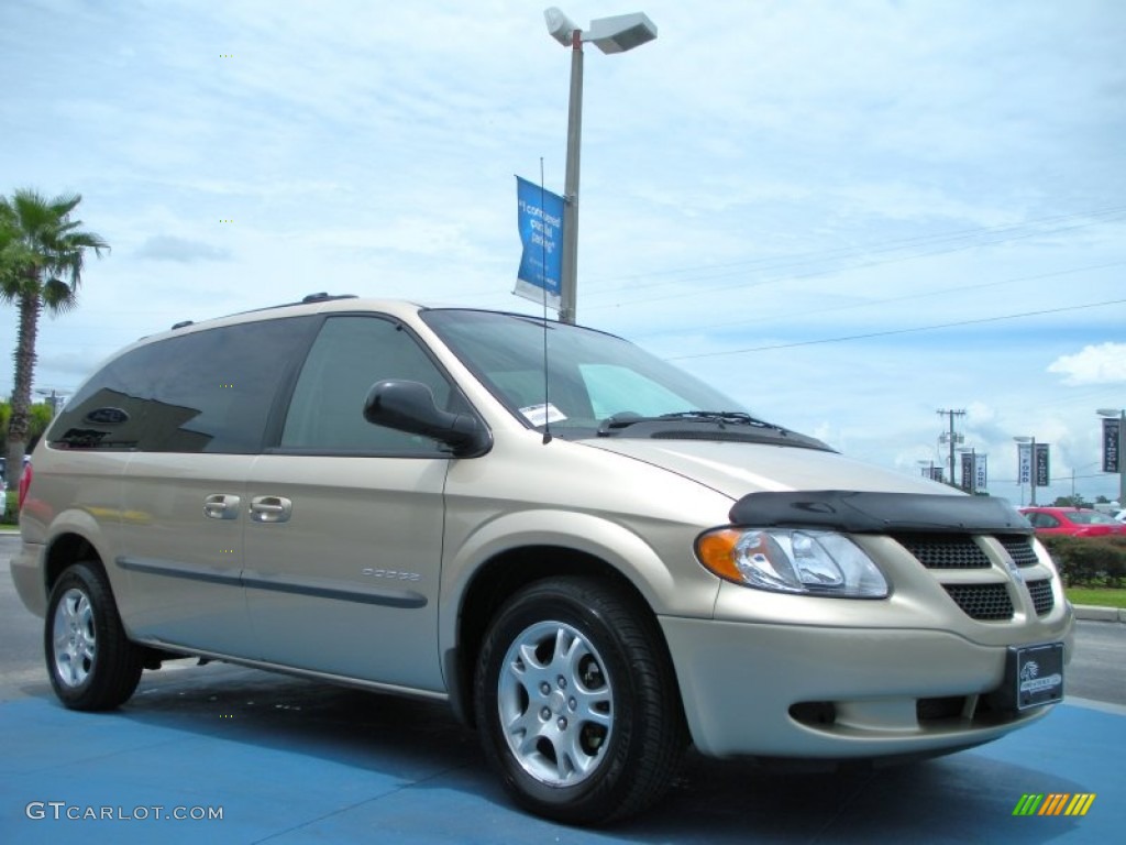 2001 Grand Caravan EX - Champagne Pearl / Sandstone photo #7