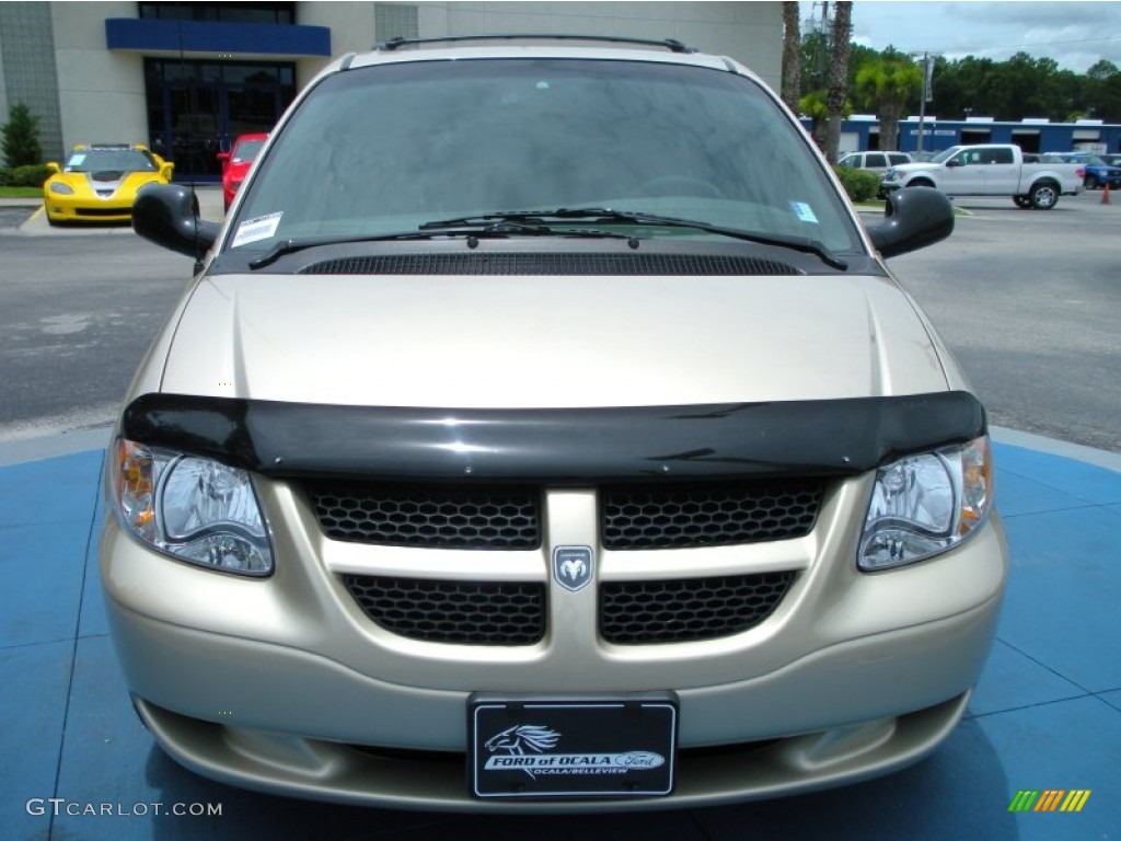 2001 Grand Caravan EX - Champagne Pearl / Sandstone photo #8