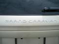 2001 Champagne Pearl Dodge Grand Caravan EX  photo #9
