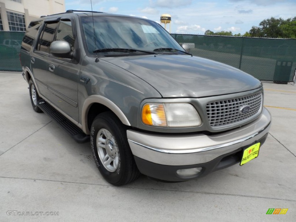 1999 Expedition Eddie Bauer - Spruce Green Metallic / Medium Prairie Tan photo #1