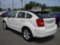Stone White - Caliber SXT Photo No. 14