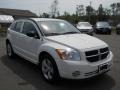 Stone White - Caliber SXT Photo No. 16