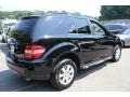 Black - ML 350 4Matic Photo No. 6