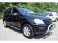Black - ML 350 4Matic Photo No. 8