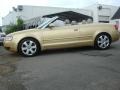 2004 Alpaka Beige Pearl Effect Audi A4 3.0 quattro Cabriolet  photo #3