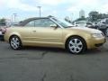 Alpaka Beige Pearl Effect 2004 Audi A4 3.0 quattro Cabriolet Exterior