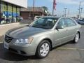 2010 Natural Khaki Hyundai Sonata GLS  photo #1