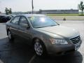 2010 Natural Khaki Hyundai Sonata GLS  photo #20