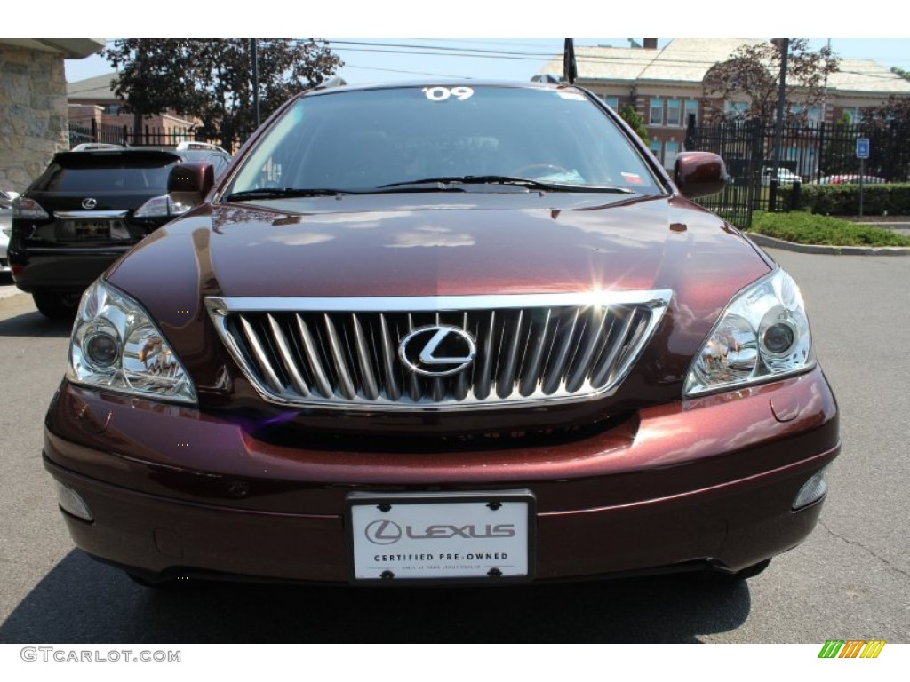 2009 RX 350 AWD - Brandywine Mica / Black photo #2