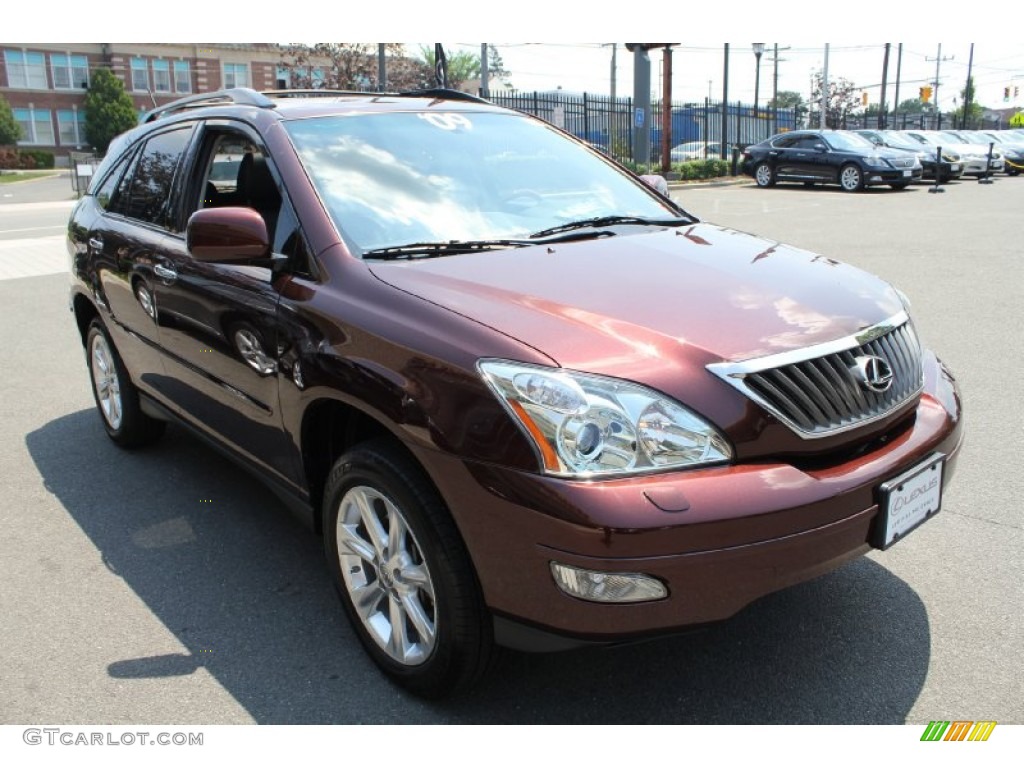 2009 RX 350 AWD - Brandywine Mica / Black photo #7