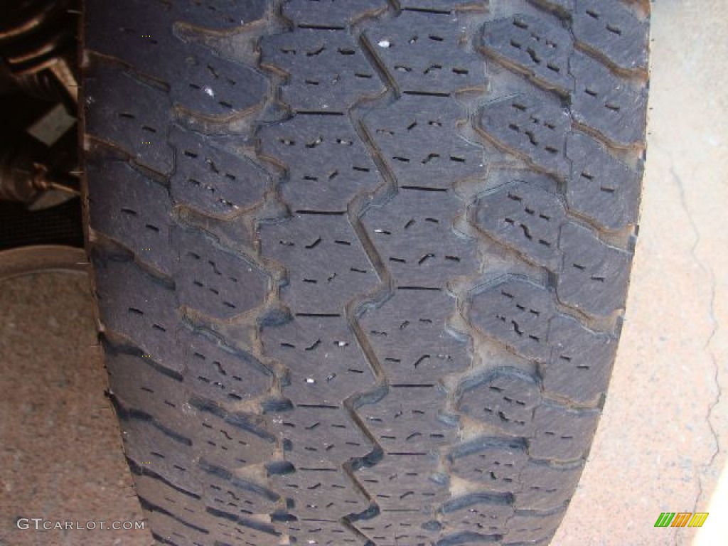 2006 F150 FX4 SuperCrew 4x4 - Silver Metallic / Medium/Dark Flint photo #30