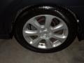 Precision Gray Metallic - Maxima 3.5 SL Photo No. 9