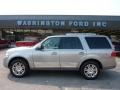 2008 Vapor Silver Metallic Lincoln Navigator Elite 4x4  photo #1