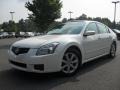 2008 Winter Frost Pearl Nissan Maxima 3.5 SL  photo #1