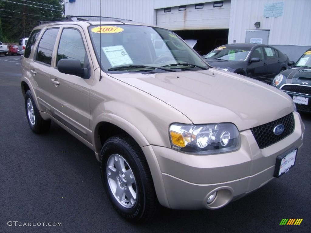 Dune Pearl Metallic 2007 Ford Escape Limited 4WD Exterior Photo #51537376