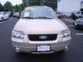 2007 Dune Pearl Metallic Ford Escape Limited 4WD  photo #3