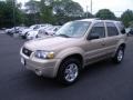 2007 Dune Pearl Metallic Ford Escape Limited 4WD  photo #29