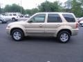 2007 Dune Pearl Metallic Ford Escape Limited 4WD  photo #30