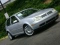 Silverstone Grey - GTI VR6 Photo No. 30