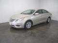 Camel Pearl - Sonata GLS Photo No. 1