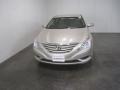 Camel Pearl - Sonata GLS Photo No. 2