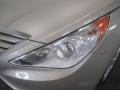 Camel Pearl - Sonata GLS Photo No. 4