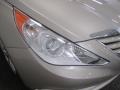 Camel Pearl - Sonata GLS Photo No. 5