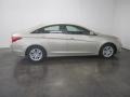 Camel Pearl - Sonata GLS Photo No. 11