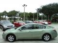 Metallic Jade - Altima 2.5 SL Photo No. 10
